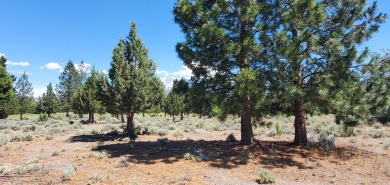 AMZING VIEWS OF MT. SHASTA AND GOLF COURSE - Discover this on Lake Shastina Golf Course in California - for sale on GolfHomes.com, golf home, golf lot