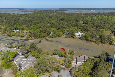 Tranquil Marshfront Fully Furnished Move In Ready Villa on on The Seabrook Island Club in South Carolina - for sale on GolfHomes.com, golf home, golf lot