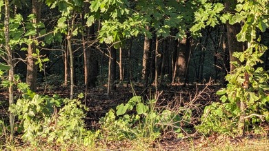 3 side-by-side RIVER lots in Cherokee Village! Recently surveyed on Cherokee Village North Course in Arkansas - for sale on GolfHomes.com, golf home, golf lot