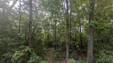 3 side-by-side RIVER lots in Cherokee Village! Recently surveyed on Cherokee Village North Course in Arkansas - for sale on GolfHomes.com, golf home, golf lot