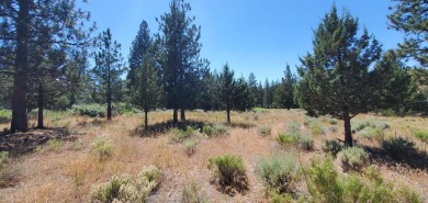 GOLF COURSE VIEW - Discover this stunning building lot tucked on Lake Shastina Golf Course in California - for sale on GolfHomes.com, golf home, golf lot