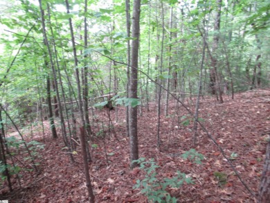 This 1.4-acre tract has a good slope for a walkout basement home on The Rock At Jocassee in South Carolina - for sale on GolfHomes.com, golf home, golf lot