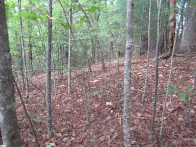 This 1.4-acre tract has a good slope for a walkout basement home on The Rock At Jocassee in South Carolina - for sale on GolfHomes.com, golf home, golf lot