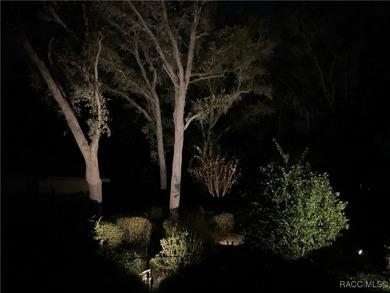 Beautifully Updated Home in Black Diamond Ranch...Welcome to on Black Diamond Ranch Golf Course in Florida - for sale on GolfHomes.com, golf home, golf lot