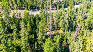 Nearly 1.5 acre, spectacular Iron Horse lot ready for you to on Iron Horse Golf Club in Montana - for sale on GolfHomes.com, golf home, golf lot