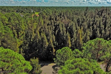 Exclusively Listed by Sunland Real Estate: One of the best on Lehigh Resort Club in Florida - for sale on GolfHomes.com, golf home, golf lot