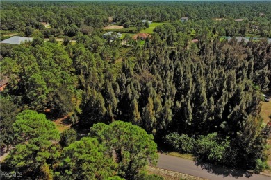 Exclusively Listed by Sunland Real Estate: One of the best on Lehigh Resort Club in Florida - for sale on GolfHomes.com, golf home, golf lot