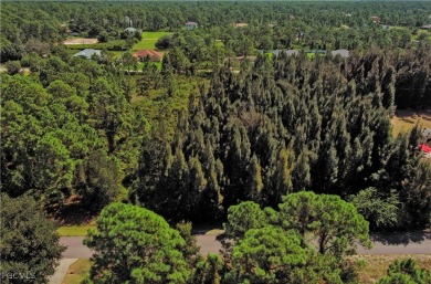 Exclusively Listed by Sunland Real Estate: One of the best on Lehigh Resort Club in Florida - for sale on GolfHomes.com, golf home, golf lot