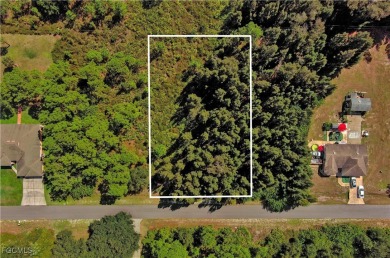 Exclusively Listed by Sunland Real Estate: One of the best on Lehigh Resort Club in Florida - for sale on GolfHomes.com, golf home, golf lot