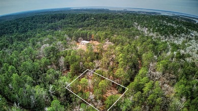 Don't miss this rare opportunity to own two adjoining lots on Rayburn Country Club in Texas - for sale on GolfHomes.com, golf home, golf lot