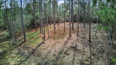 Don't miss this rare opportunity to own two adjoining lots on Rayburn Country Club in Texas - for sale on GolfHomes.com, golf home, golf lot