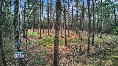 Don't miss this rare opportunity to own two adjoining lots on Rayburn Country Club in Texas - for sale on GolfHomes.com, golf home, golf lot