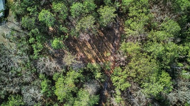 Don't miss this rare opportunity to own two adjoining lots on Rayburn Country Club in Texas - for sale on GolfHomes.com, golf home, golf lot