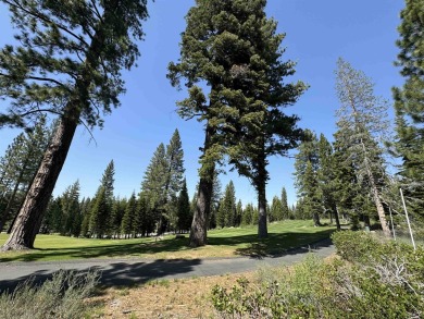 Introducing Homesite 303, a prime homesite complete with on Shaffers Mill Golf Course in California - for sale on GolfHomes.com, golf home, golf lot