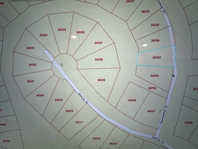 Lake life is calling - answer it!  1/4 acre lot in Rayburn on Rayburn Country Club in Texas - for sale on GolfHomes.com, golf home, golf lot