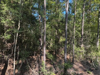 Lake life is calling - answer it!  1/4 acre lot in Rayburn on Rayburn Country Club in Texas - for sale on GolfHomes.com, golf home, golf lot