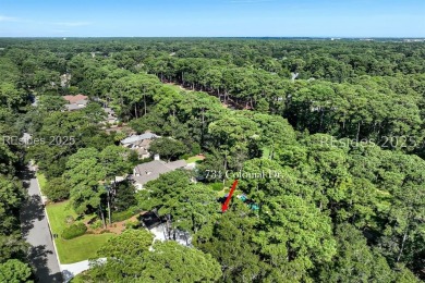 Experience Low Country Living in this custom-designed home on a on The Golf Club at Indigo Run in South Carolina - for sale on GolfHomes.com, golf home, golf lot
