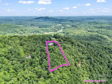 Come for the views-stay for the lifestyle!!!! Mountain retreat on Rumbling Bald Resort on Lake Lure in North Carolina - for sale on GolfHomes.com, golf home, golf lot