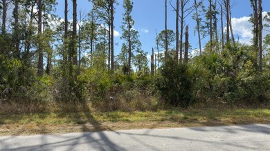 Build your Florida dream home on this prime residential lot on Sabal Trace Golf and Country Club in Florida - for sale on GolfHomes.com, golf home, golf lot