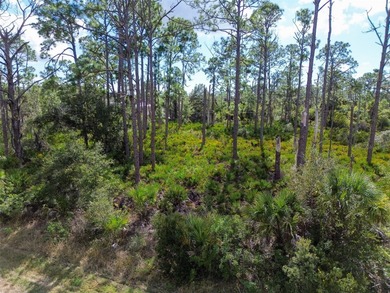 Build your Florida dream home on this prime residential lot on Sabal Trace Golf and Country Club in Florida - for sale on GolfHomes.com, golf home, golf lot