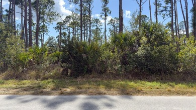 Build your Florida dream home on this prime residential lot on Sabal Trace Golf and Country Club in Florida - for sale on GolfHomes.com, golf home, golf lot