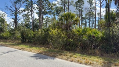 Build your Florida dream home on this prime residential lot on Sabal Trace Golf and Country Club in Florida - for sale on GolfHomes.com, golf home, golf lot