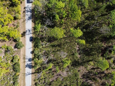 Build your Florida dream home on this prime residential lot on Sabal Trace Golf and Country Club in Florida - for sale on GolfHomes.com, golf home, golf lot