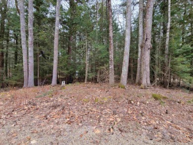 Vacant building lot in Balmoral Association on the shores of on  in New Hampshire - for sale on GolfHomes.com, golf home, golf lot