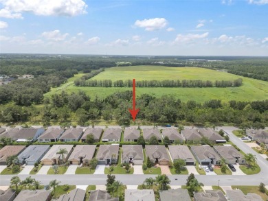 Welcome to 29405 Cochiti Lake Drive, located in the gated 55+ on Tampa Bay Golf and Country Club in Florida - for sale on GolfHomes.com, golf home, golf lot