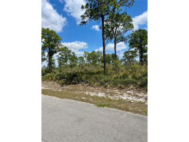 Under contract-accepting backup offers. Lot available in Sun N on Sun n Lake Golf and Country Club in Florida - for sale on GolfHomes.com, golf home, golf lot