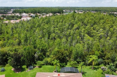 One or more pictures were virtually staged. **Beautiful OPEN on Stonegate Golf Club in Florida - for sale on GolfHomes.com, golf home, golf lot