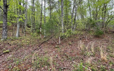 BEAUTIFULLY WOODED LOT IN THE MOUNTAINS OF NORTH CAROLINA!! This on Mountain Harbour Golf Club in North Carolina - for sale on GolfHomes.com, golf home, golf lot