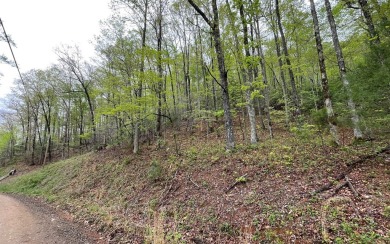 BEAUTIFULLY WOODED LOT IN THE MOUNTAINS OF NORTH CAROLINA!! This on Mountain Harbour Golf Club in North Carolina - for sale on GolfHomes.com, golf home, golf lot