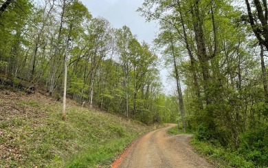 BEAUTIFULLY WOODED LOT IN THE MOUNTAINS OF NORTH CAROLINA!! This on Mountain Harbour Golf Club in North Carolina - for sale on GolfHomes.com, golf home, golf lot