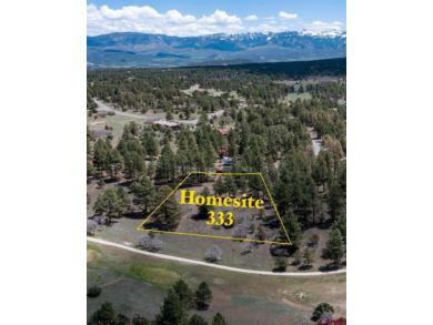 Mistalyn Kuzov, United Country Sneffels Realty, C: , mistalynk on The Divide Ranch and Club in Colorado - for sale on GolfHomes.com, golf home, golf lot