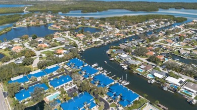 LUXURY WATERFRONT LIVING ON A WIDE, DEEP, SAILBOAT CANAL LEADING on Mangrove Bay Golf Course in Florida - for sale on GolfHomes.com, golf home, golf lot