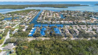 LUXURY WATERFRONT LIVING ON A WIDE, DEEP, SAILBOAT CANAL LEADING on Mangrove Bay Golf Course in Florida - for sale on GolfHomes.com, golf home, golf lot