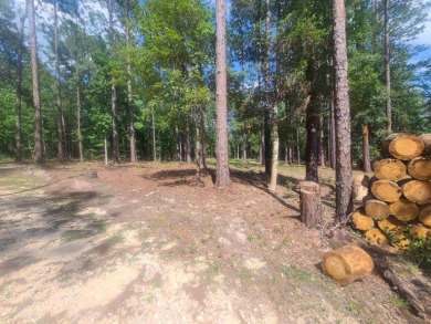 25 acres Cul-de-Sac lot in a sought after area of Rayburn for sale on GolfHomes.com
