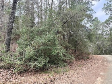 Build your dream home on this 0.46-acre lot in the rapidly on Rayburn Country Club in Texas - for sale on GolfHomes.com, golf home, golf lot