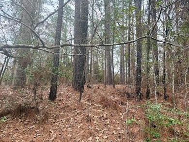 Build your dream home on this 0.46-acre lot in the rapidly on Rayburn Country Club in Texas - for sale on GolfHomes.com, golf home, golf lot