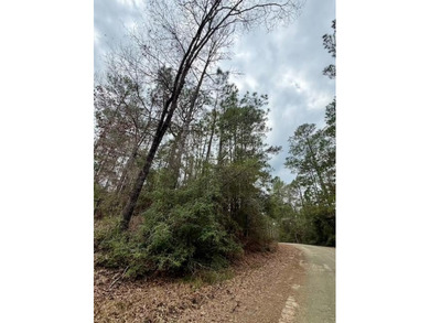 Build your dream home on this 0.46-acre lot in the rapidly on Rayburn Country Club in Texas - for sale on GolfHomes.com, golf home, golf lot