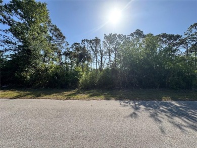 Build Your Dream Home in Sunny Port Charlotte! ??

Take on Sabal Trace Golf and Country Club in Florida - for sale on GolfHomes.com, golf home, golf lot