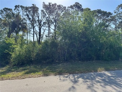 Build Your Dream Home in Sunny Port Charlotte! ??

Take on Sabal Trace Golf and Country Club in Florida - for sale on GolfHomes.com, golf home, golf lot