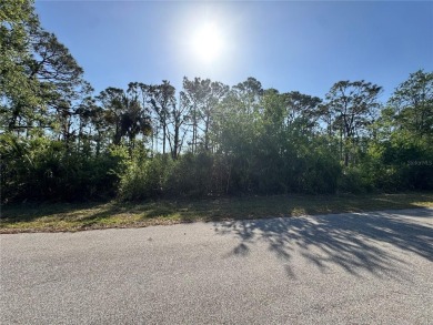 Build Your Dream Home in Sunny Port Charlotte! ??

Take on Sabal Trace Golf and Country Club in Florida - for sale on GolfHomes.com, golf home, golf lot