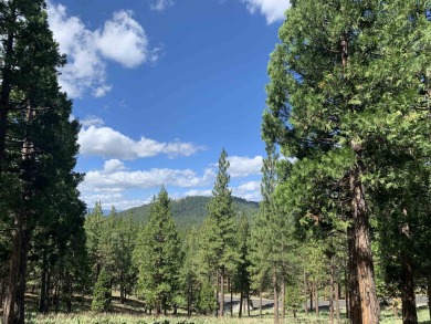 Beautifully treed, downsloping 1.00 acre homesite with stunning on Grizzly Ranch Golf Club in California - for sale on GolfHomes.com, golf home, golf lot