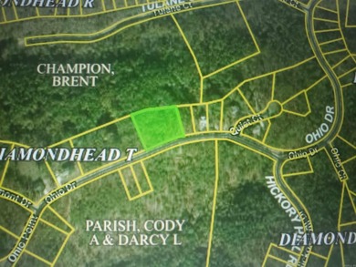 Build your dream home with unparalleled views of Downtown Hot on Diamondhead Golf and Country Club in Arkansas - for sale on GolfHomes.com, golf home, golf lot