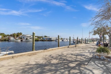 Amazing location in a 55+ community with a heated pool, tennis on Tarpon Springs Golf Course in Florida - for sale on GolfHomes.com, golf home, golf lot