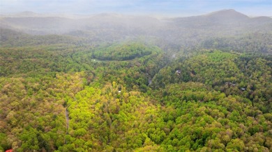 Nestled in the tranquil setting of Holly Forest IV, this on Sapphire National Golf Club in North Carolina - for sale on GolfHomes.com, golf home, golf lot