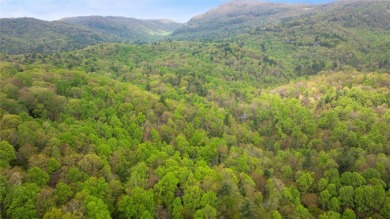 Nestled in the tranquil setting of Holly Forest IV, this on Sapphire National Golf Club in North Carolina - for sale on GolfHomes.com, golf home, golf lot