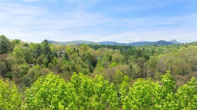 Nestled in the tranquil setting of Holly Forest IV, this on Sapphire National Golf Club in North Carolina - for sale on GolfHomes.com, golf home, golf lot